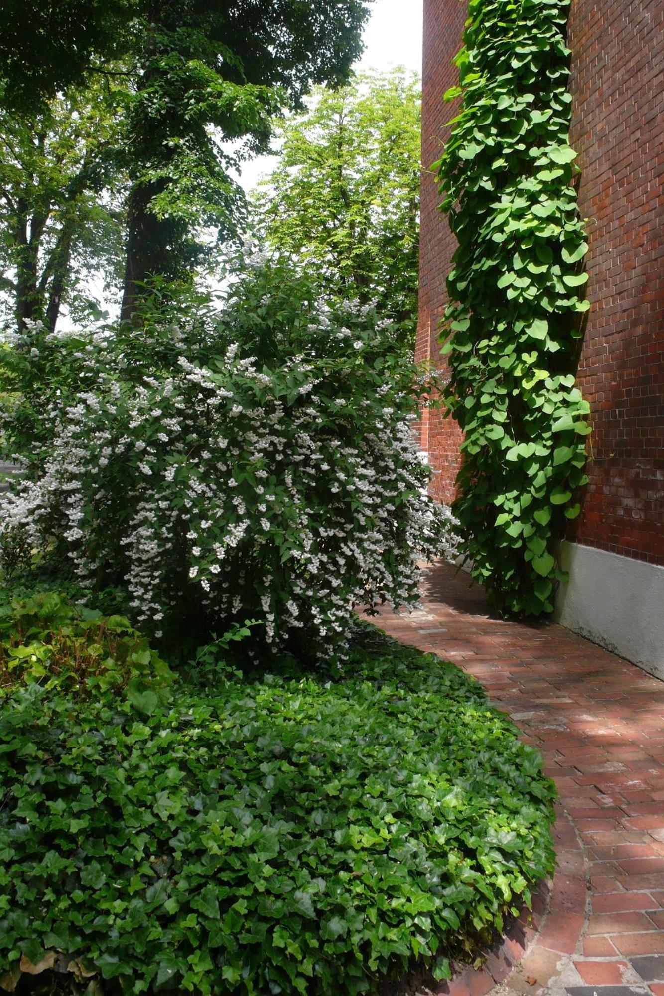 Pension Villa Fortuna Lubben Bagian luar foto